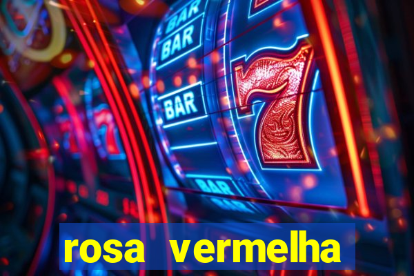 rosa vermelha (letra e cifra)